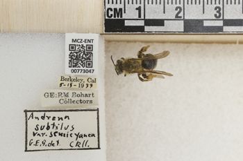 Media type: image;   Entomology 773047 Aspect: Labels